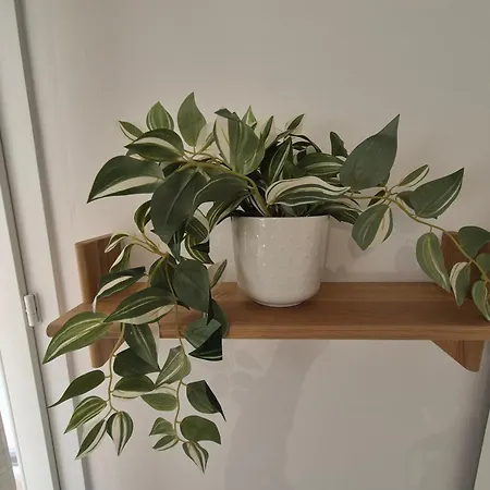 Apartament Le Luna Parking Gratuit